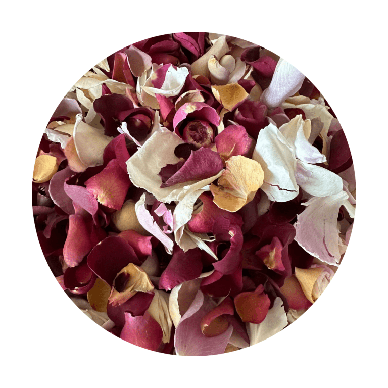 Preserved flower petal confetti